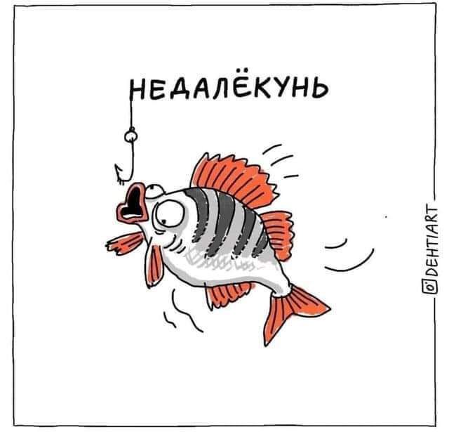 Showing fish - Humor, From the network, A fish, Longpost, Wordplay