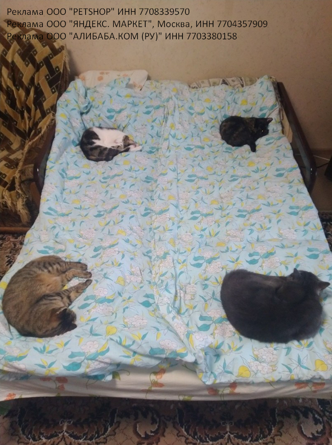 Даже оставили местечко для хозяина