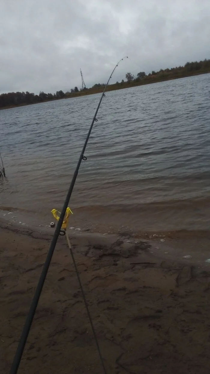 Hard Unemployed Friday on a Rainy Day - My, Fishing, The photo, Feeder, River, Longpost