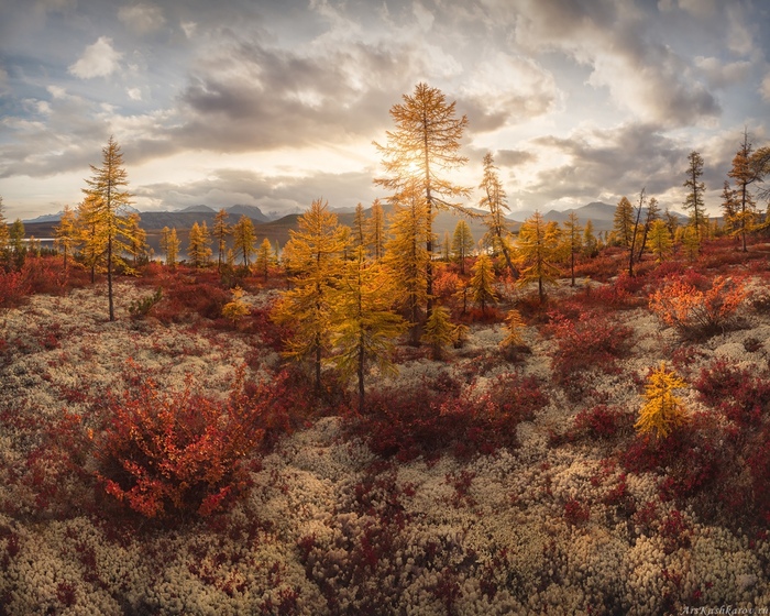 Фото А. Кашкарова.