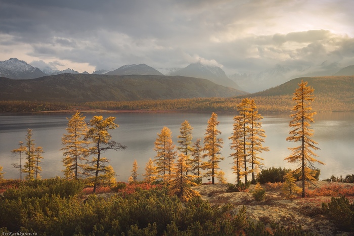 Фото А. Кашкарова.