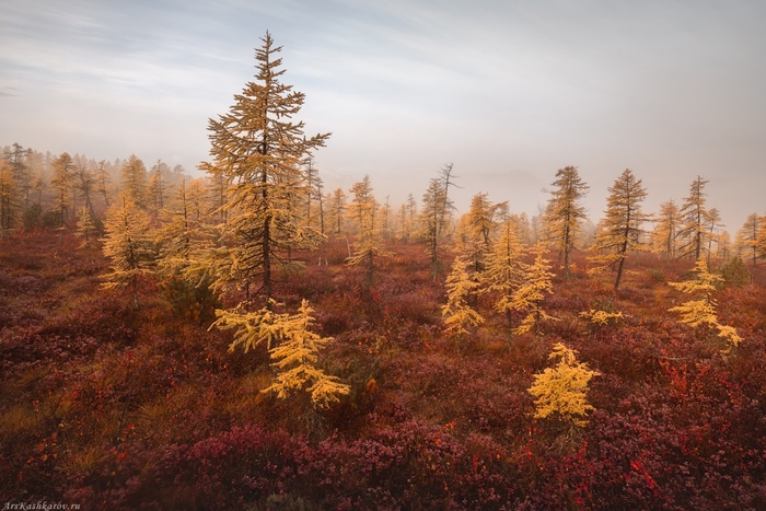 Фото А. Кашкарова.