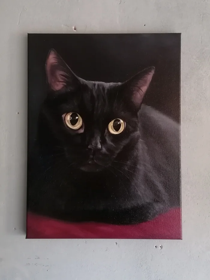 Portrait of a black cat - My, cat, Pets, Black cat, Painting, Canvas, Oil painting, Author's painting, Animalistics, Artist, Art, Portrait by photo, Traditional art, Painting, Longpost