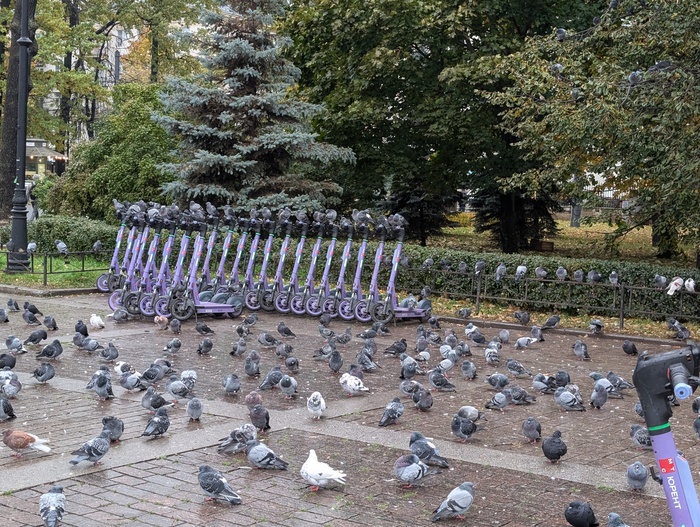 ������� ������ ������ ������