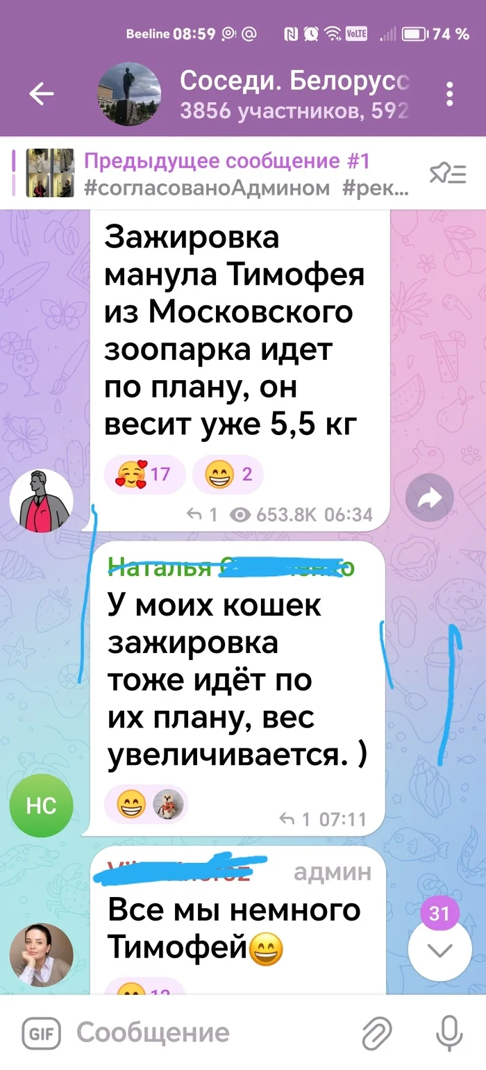 Все мы немного Тимофей - Моё, Манул, Манул Тимофей, Длиннопост, Переписка, Скриншот