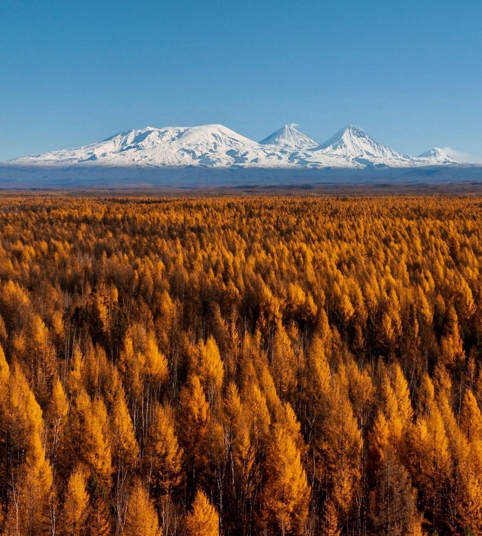 Краски осени на Камчатке
