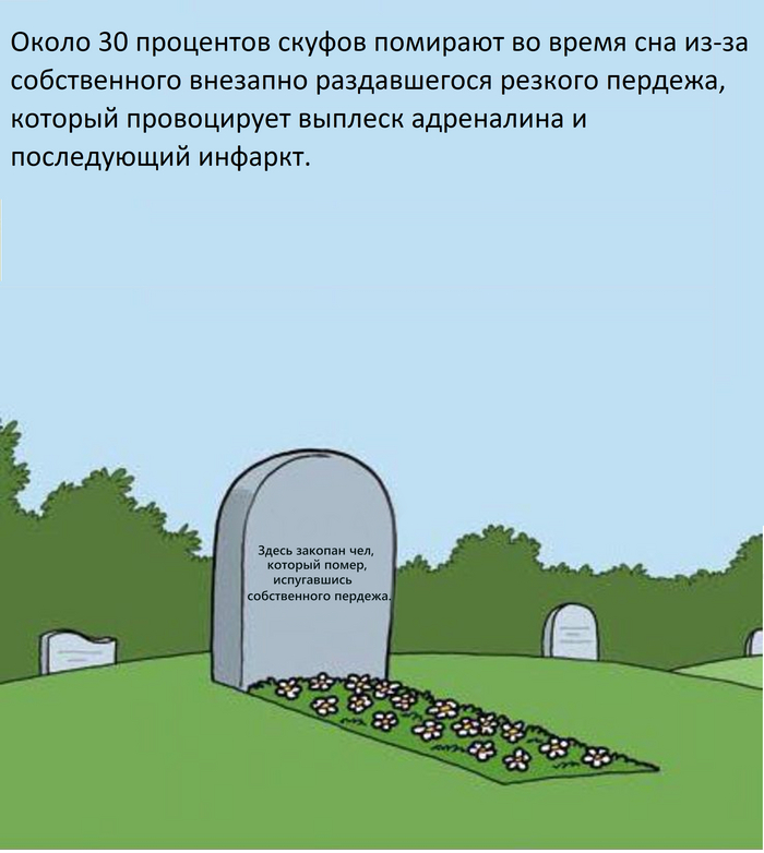 Факт о скуфах, о котором умалчивают СМИ