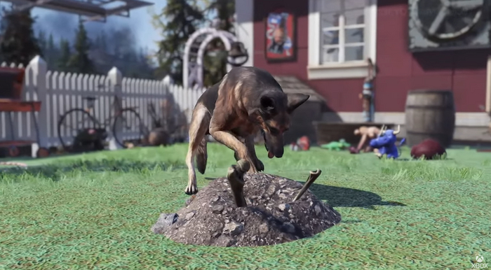Fallout 76:          ,  