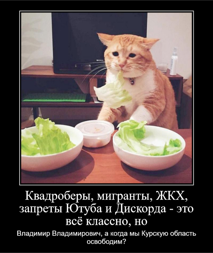 , ,  ,   , , 