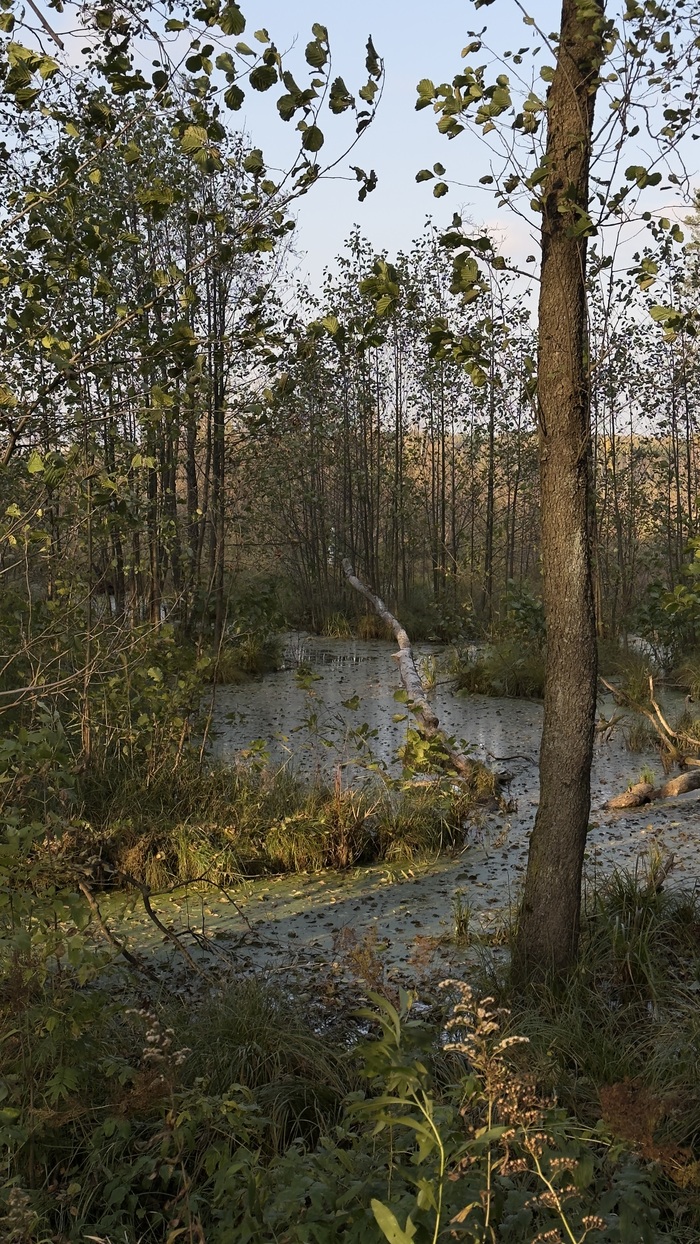 ������, ������� ����� ����������