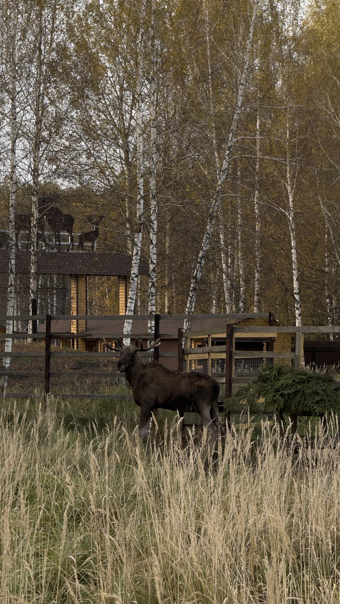 ˸�� � ������������, ��� ��� ������������� �� ����-�� ����� �����������