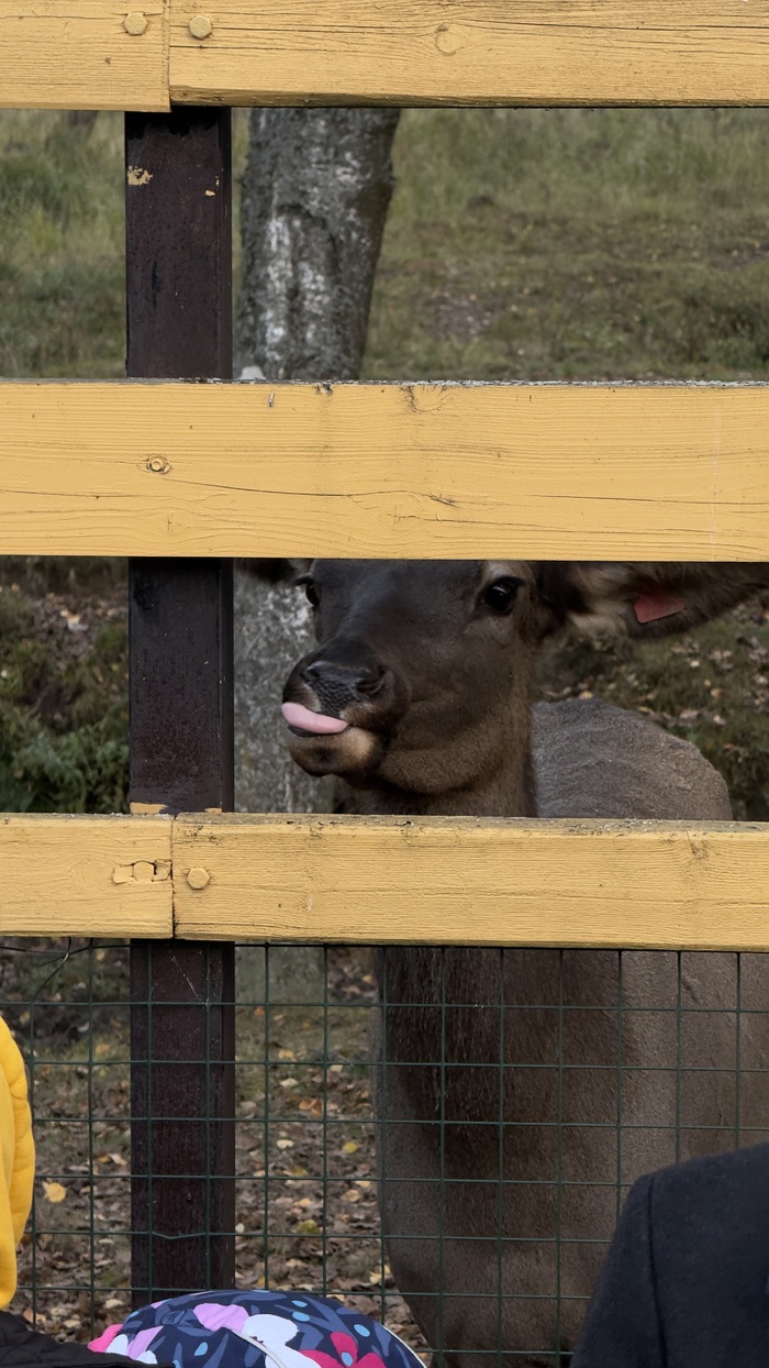 �������� ������, ������� ����� �������, � �� �� �� ������� �� ���������