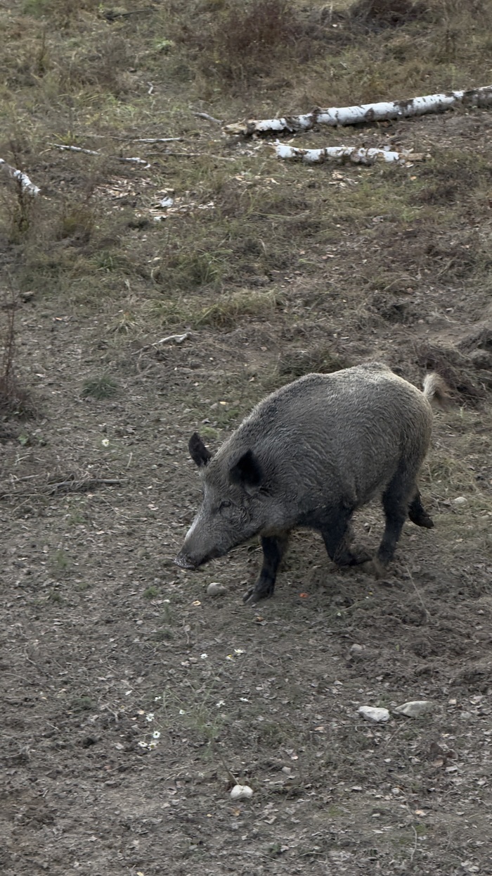 ���������� ��������� �� �������� �� �������!