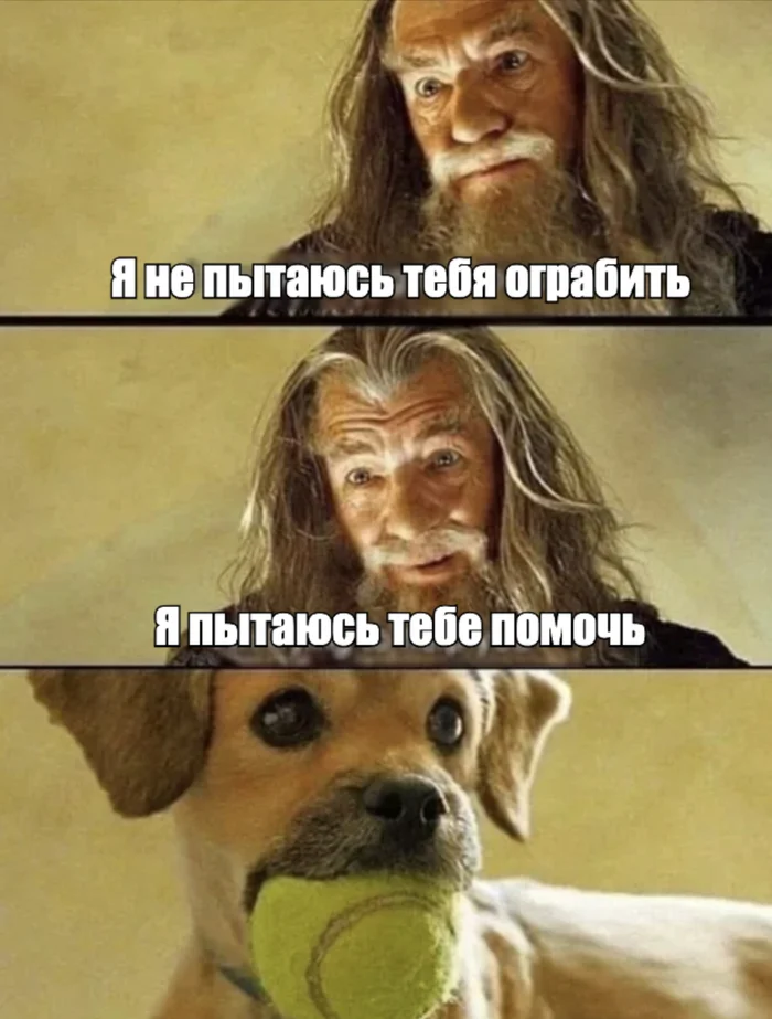 My darling - Picture with text, Memes, Images, Humor, Milota, Dog, Puppies, Lord of the Rings, Fun, Gandalf, Ball, Lord of the Rings: Rings of Power, Repeat