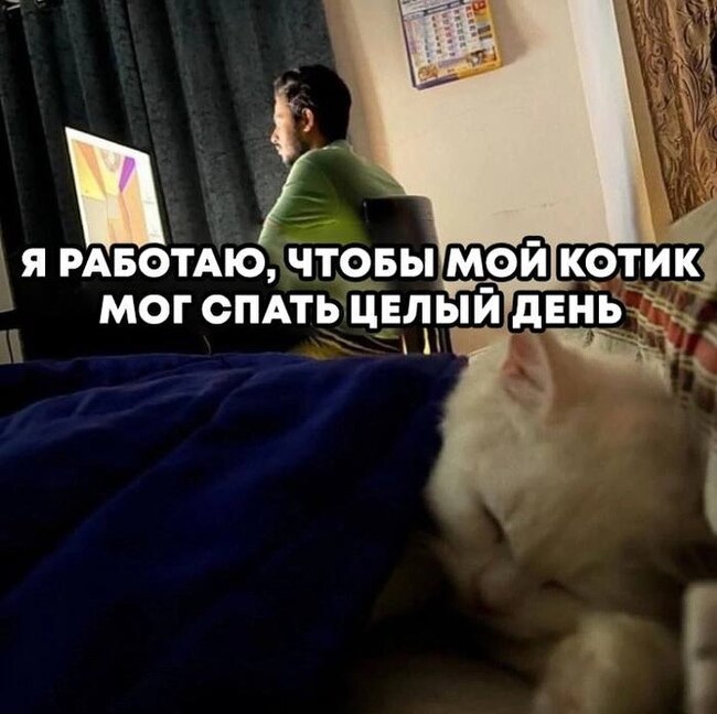 Правильно, хозяин, работай усерднее