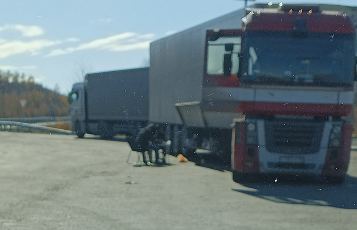 Обед в пути. Тепло на душе при виде такой картины.