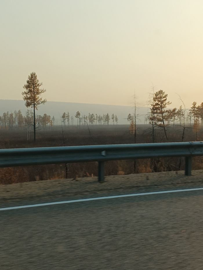 Отчетливо виден дым