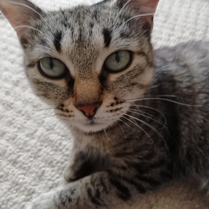 Этот взгляд)