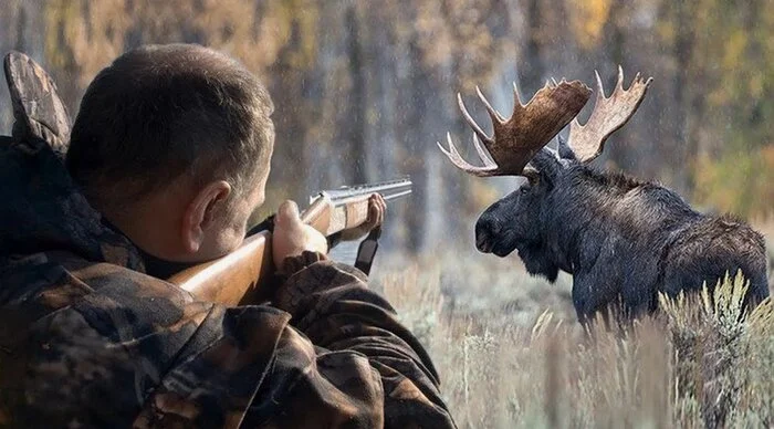 Man shoots father dead while moose hunting - Lenta ru, news, Bashkortostan, Elk, Hunting, Murder, Telegram (link), Negative