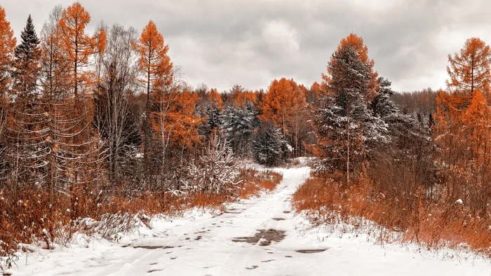 First snow - My, The photo, Canon, Autumn, Nature, Landscape, Snow, Road, Perspective, Larch, Beautiful view