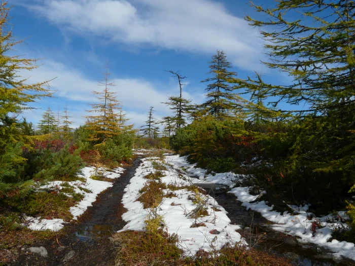 Magadan environs, first snow - My, Magadan, Nature, North, First snow, The photo