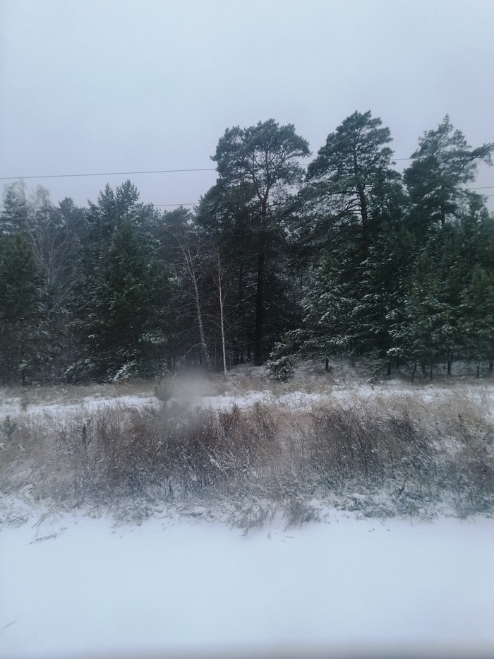 ������ ������, ��������� �����