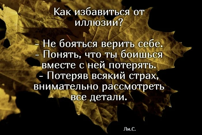 Разборчивый оракул - Моё, Философия, Эзотерика, Мудрость, Что почитать?, Саморазвитие, Смелость, Реальность, Личность, Скриншот