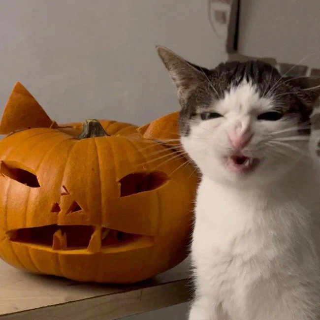 �������� ������� ���������