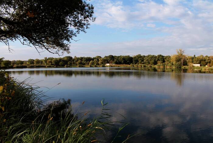 The golden leaves are about to swirl - My, The photo, Nature, Landscape, Pond, Beautiful view, Stavropol region