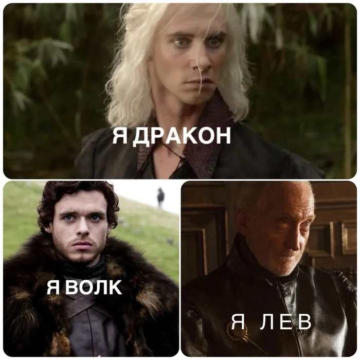 Westeros Quads - Game of Thrones, Picture with text, VKontakte (link), Quad Bearers, Viserys Targaryen, Robb stark, Tywin Lannister