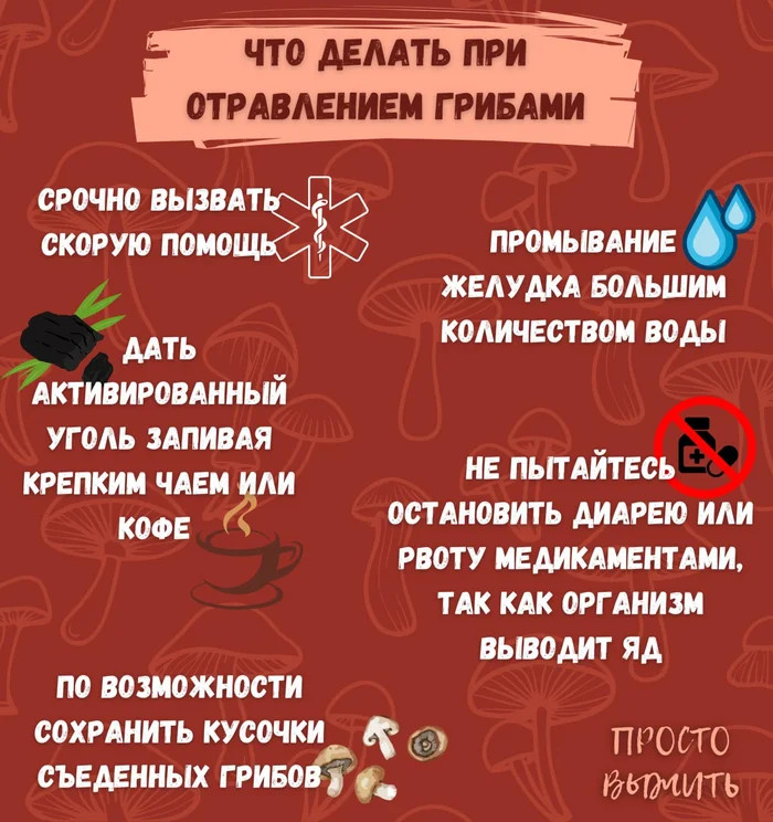 First steps in case of mushroom poisoning - My, Survival, Education, Hike, Forest, Travels, Important, Nature, Mushrooms, Poisoning, First aid, Gastrointestinal tract, Rules, Infographics, Ambulance, Danger