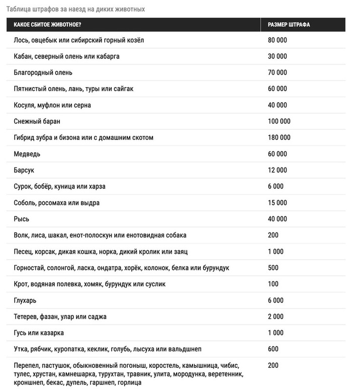 Если сбить квадробера на машине, то нужно будет платить в размере зависящим от вида животного которого я сбил?