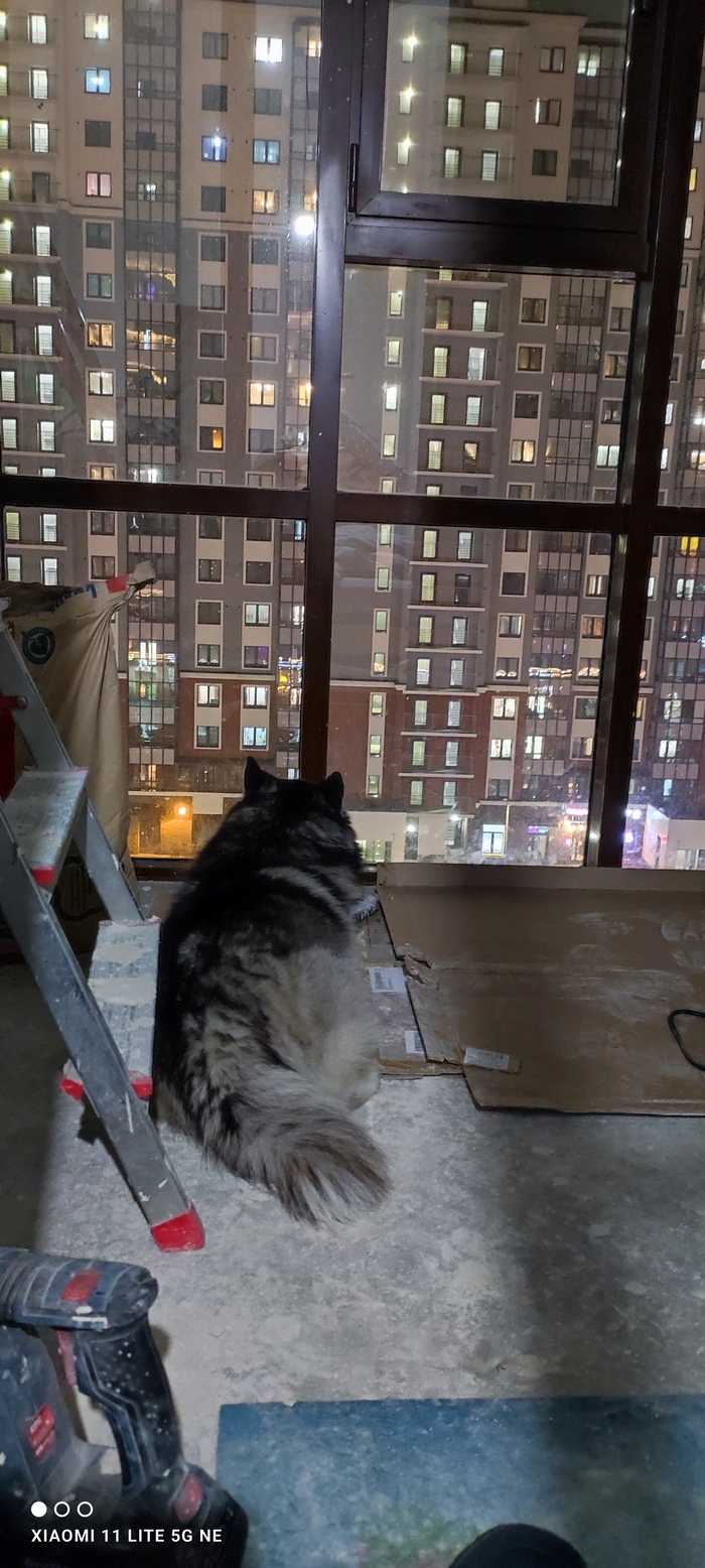 ������� ��� �������������