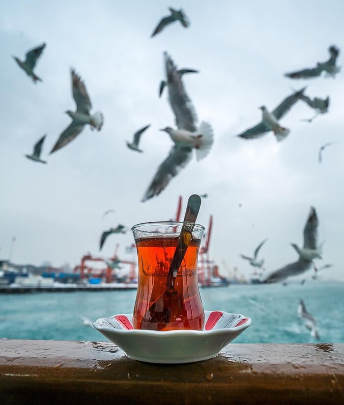 Ответ на пост «Приготовление турецкого бублика»