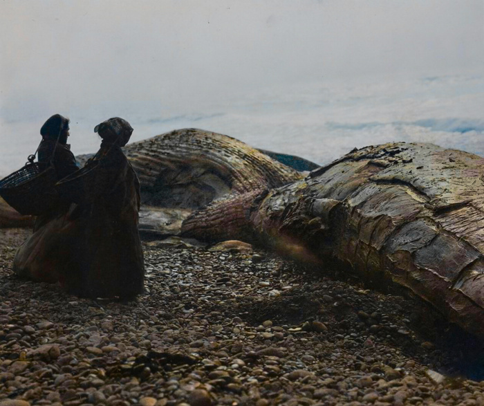 Уникальные исторические кадры, которые перенесут вас в прошлое. 20 раскрашенных фотографий из ХIX века Старое фото, Историческое фото, Фотография, Колоризация, 19 век, Длиннопост Уникальные исторические кадры, которые перенесут вас в прошлое. 20 раскрашенных фотографий из ХIX века Старое фото, Историческое фото, Фотография, Колоризация, 19 век, Длиннопост