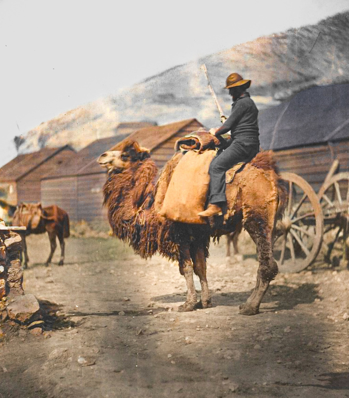 Уникальные исторические кадры, которые перенесут вас в прошлое. 20 раскрашенных фотографий из ХIX века Старое фото, Историческое фото, Фотография, Колоризация, 19 век, Длиннопост Уникальные исторические кадры, которые перенесут вас в прошлое. 20 раскрашенных фотографий из ХIX века Старое фото, Историческое фото, Фотография, Колоризация, 19 век, Длиннопост