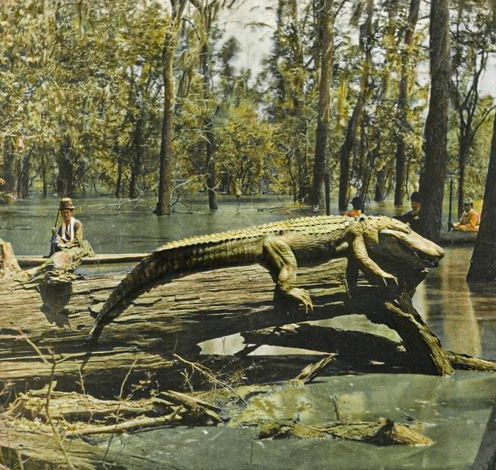 Уникальные исторические кадры, которые перенесут вас в прошлое. 20 раскрашенных фотографий из ХIX века Старое фото, Историческое фото, Фотография, Колоризация, 19 век, Длиннопост Уникальные исторические кадры, которые перенесут вас в прошлое. 20 раскрашенных фотографий из ХIX века Старое фото, Историческое фото, Фотография, Колоризация, 19 век, Длиннопост