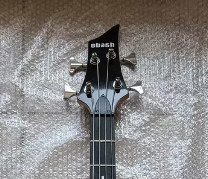 EBASH - a brand with a reference - Guitar, Humor, The photo