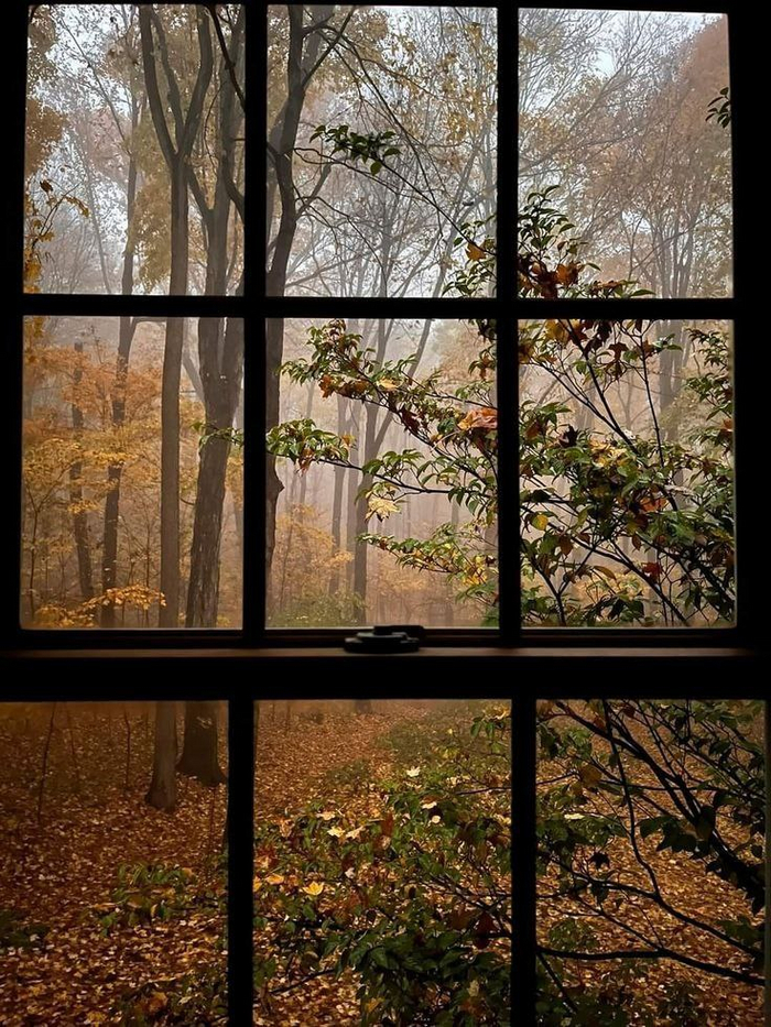 Если бы вы знали, как редко нас правильно понимают, вы бы чаще молчали. Гёте