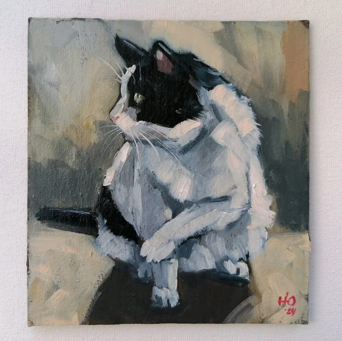 Black and white - My, cat, Painting, Oil painting, Pets, Artist, Etude, Author's painting, Animalistics, Painting, Art, Fat cats