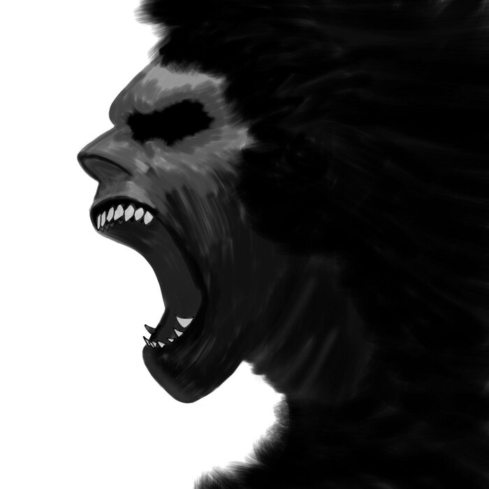 3 -   ,  , , , , Procreate,  , , 2D