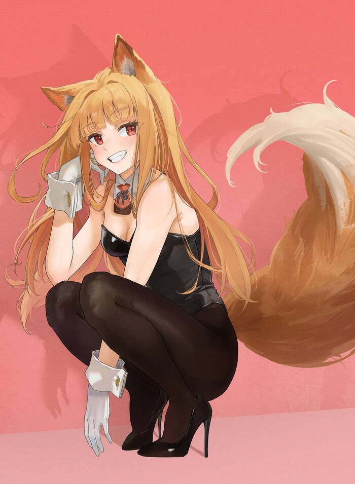   Anime Art, , Holo, Spice and Wolf, Bunnysuit, Animal Ears, Dobutsu