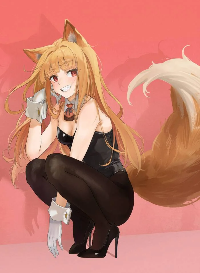 Зайка Холо - Anime Art, Аниме, Holo, Spice and wolf, Bunnysuit, Animal Ears, Dobutsu