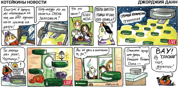 Котейкины Новости от 13.10.2024