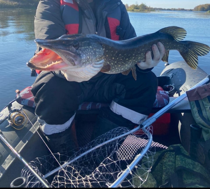 � ��� �� ���������?