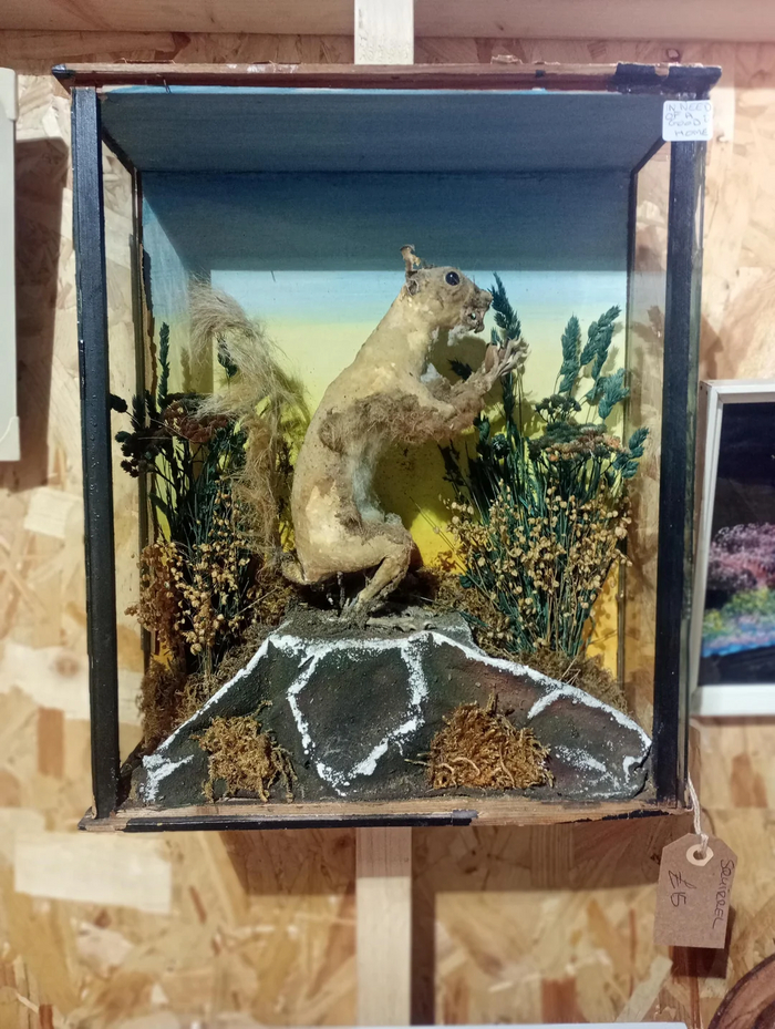 ������ �������-�����