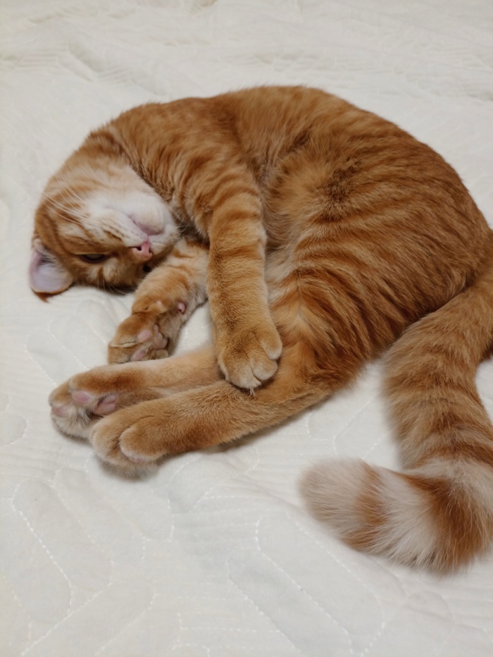 ��� �� �������?