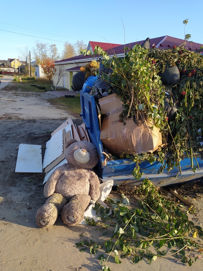 ����� ������� �������