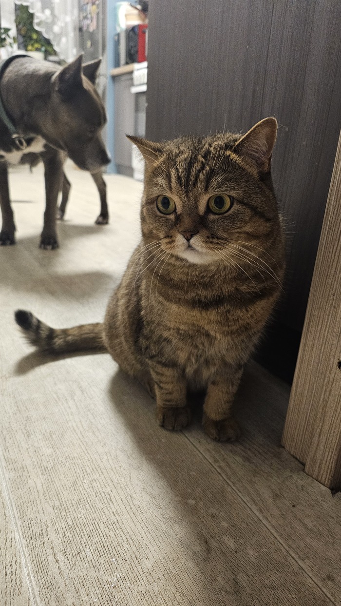 Этот взгляд