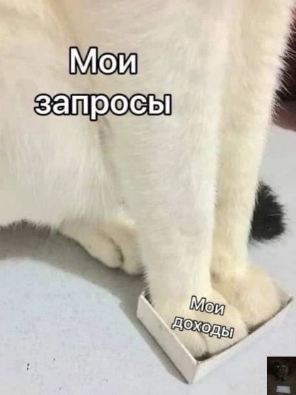 Если запросы растут - надо и работу подходящую